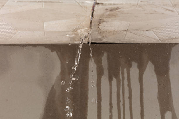 Professional Flood Damage Cleanup technician working in Columbia, IA